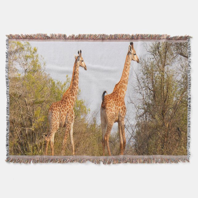 Couverture Giraffe Pair (Devant)