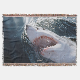 Couverture Grand requin blanc en mer