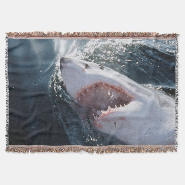 Couverture Grand requin blanc en mer (Devant)