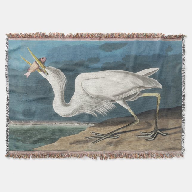 Couverture Grande Peinture de la faune d'Audubon Heron blanc (Devant)
