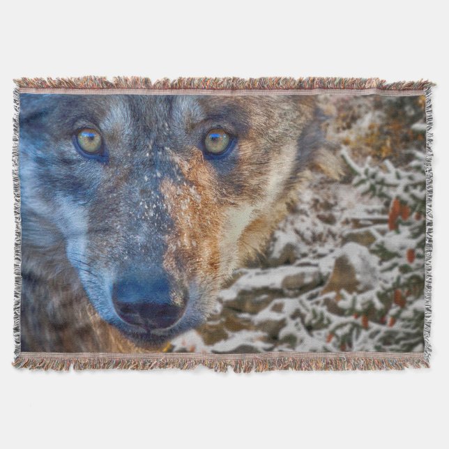 COUVERTURE GRAY WOLF HITER'S RANGER (Devant)