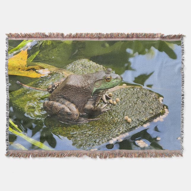 Couverture Grenouille - Vieux Coasseur (Devant)