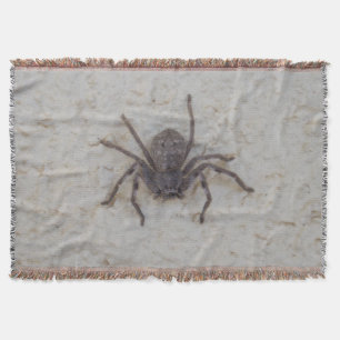 Couverture Grosse Femme Araignée,
