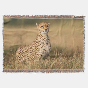 Couverture Guépard sur un petit monticule pour une meilleure