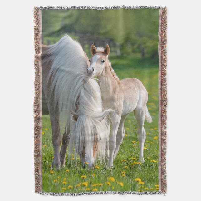 Couverture Haflinger Horses Cute Baby Foin Avec Maman Photo, (devant Vertical)