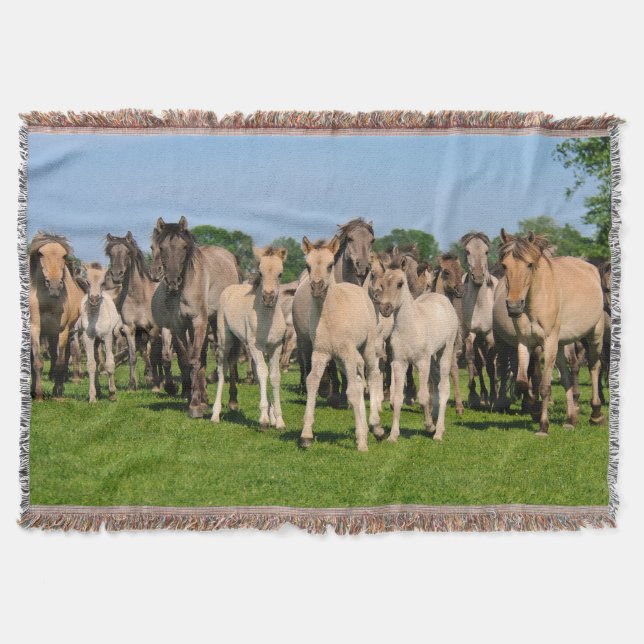 Couverture Herd Wild Grullo Coloured Dulmen Horses Foies doui (Devant)