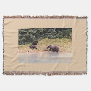 Couverture Hi def Photographie de Mother Grizzly et 2 Cubs