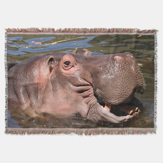 Couverture Hippopotame heureux (Devant)