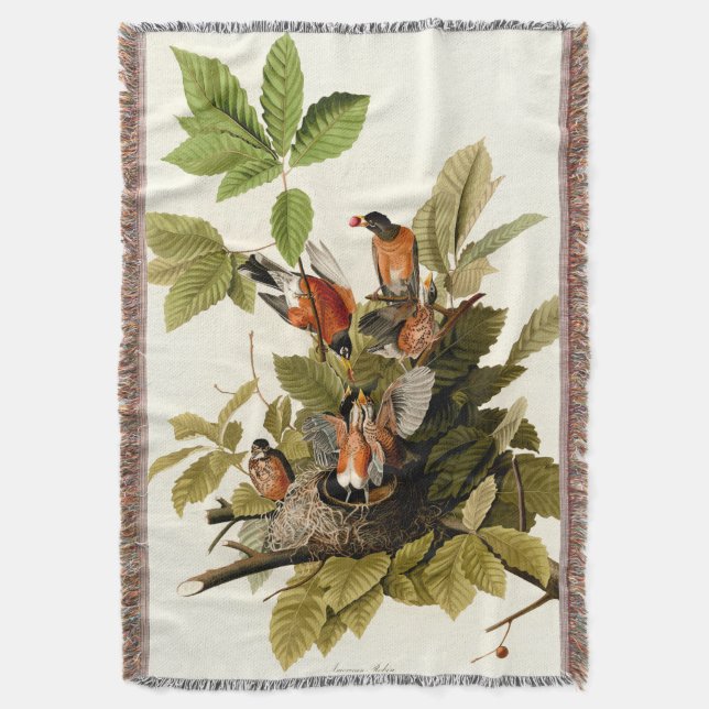 Couverture Illustration Audubon American Robin Wildlife Bird (devant Vertical)