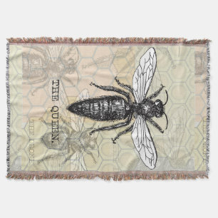 Couverture Illustration d'antiquité de l'insecte de la reine