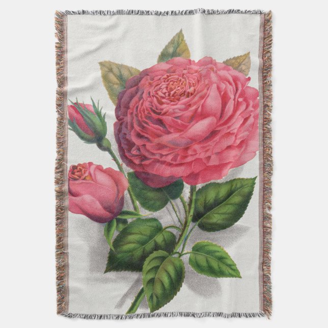 Couverture Illustration de rose rose vintage (devant Vertical)