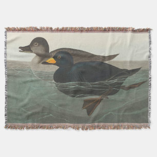 Couverture Impression de Macreuse noire d'Audubon : Canard cô