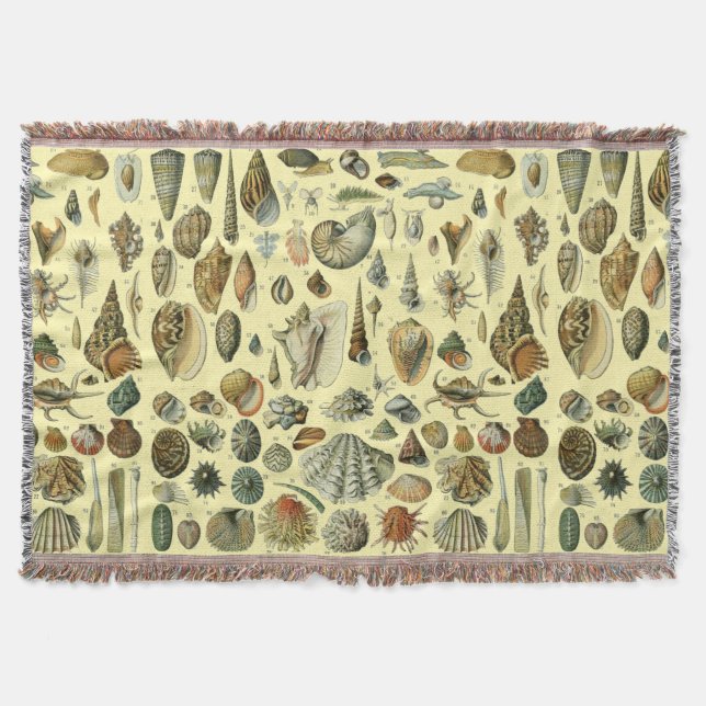 Couverture Impression vintage de coquillages d'Adolphe Millot (Devant)