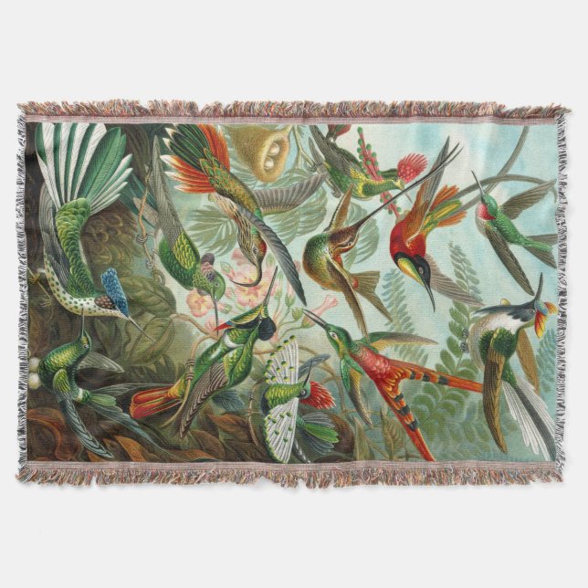 Couverture Impressionnantes colibris imprimés par Ernst Haeck (Devant)