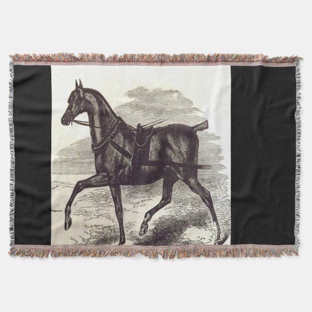 Couverture Imprimé au 19e siècle Un cheval anglais Roadster (Devant)