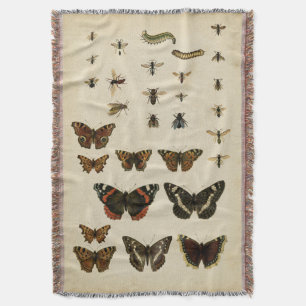 Couverture Insectes de jardin par le studio de vision
