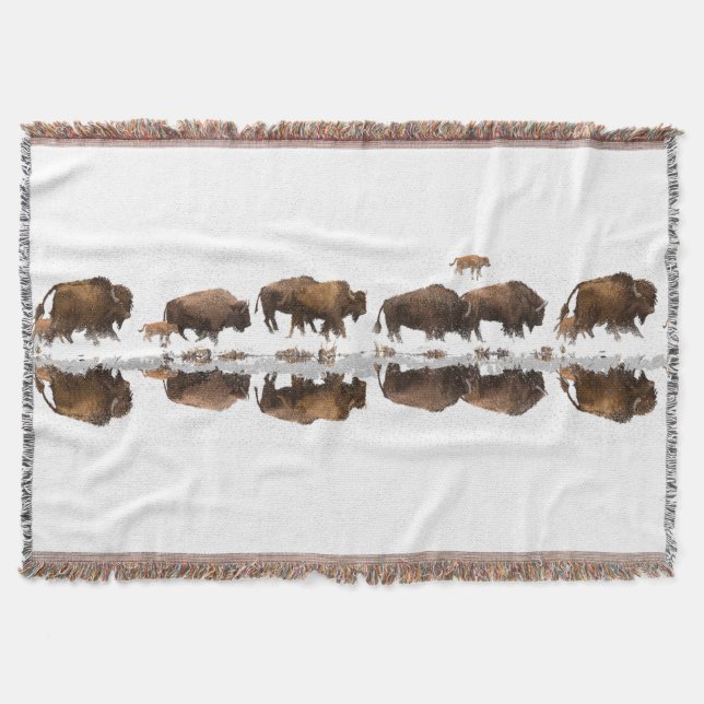 Couverture Itinéraire du bison en hiver | (Devant)