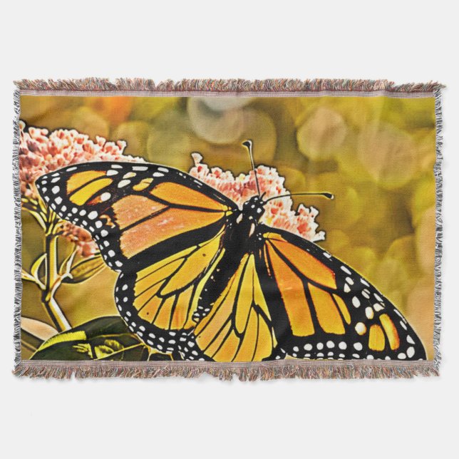 Couverture Jardin artistique du papillon monarque (Devant)