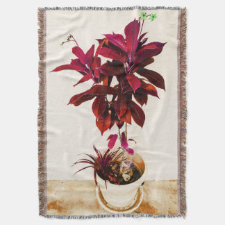 Couverture Jatropha Plante en rouge profond