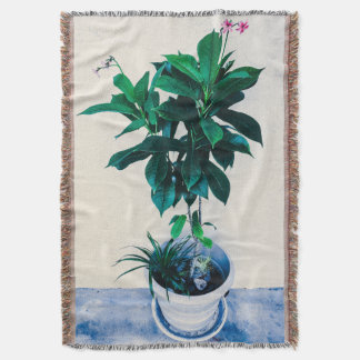 Couverture Jatropha Plante en vert naturel