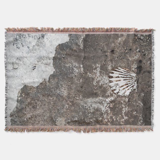 Couverture Jet fossile de Shell de feston (Devant)