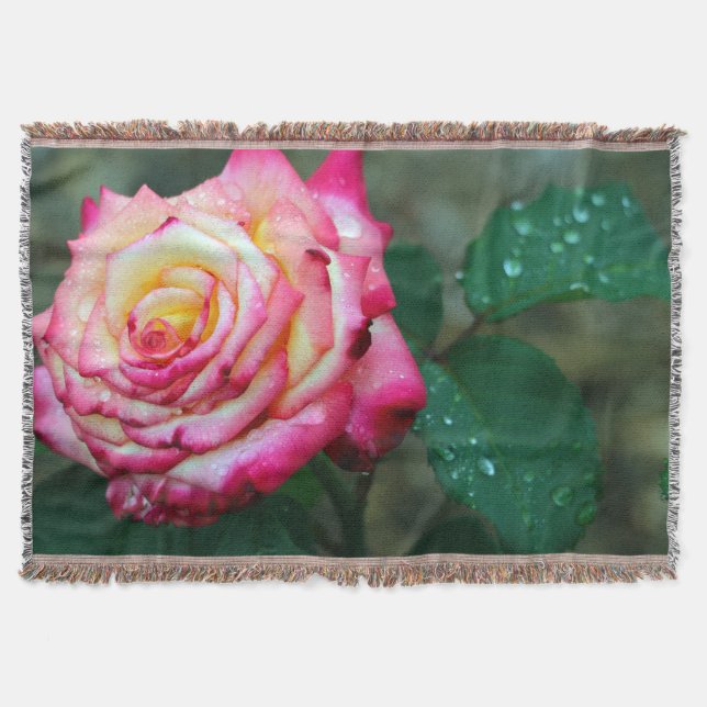 Couverture Jetez une couverture/Rose rose avec Dew du matin (Devant)
