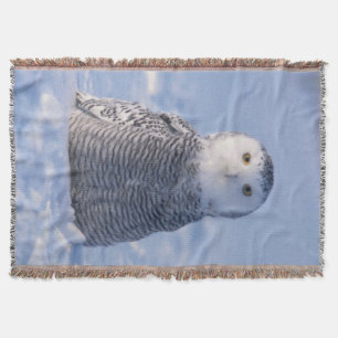 Couverture Jote Arctic Snowy Owl Photo Conçu Tissé