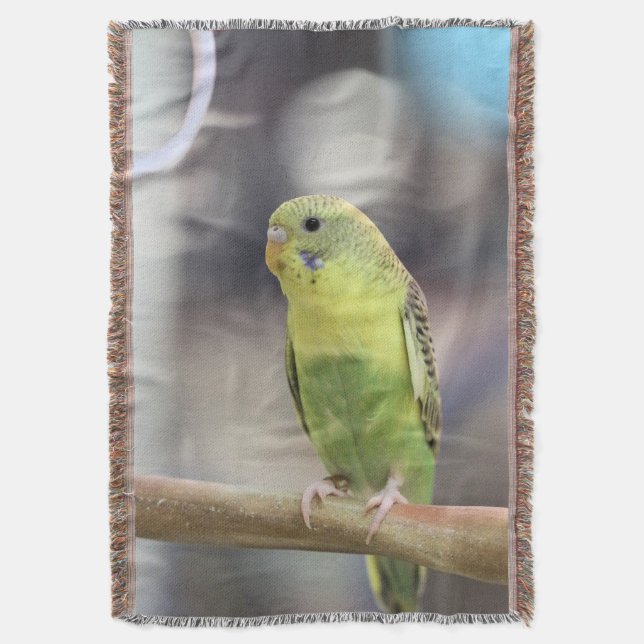 Couverture Kiwi Burbell (devant Vertical)