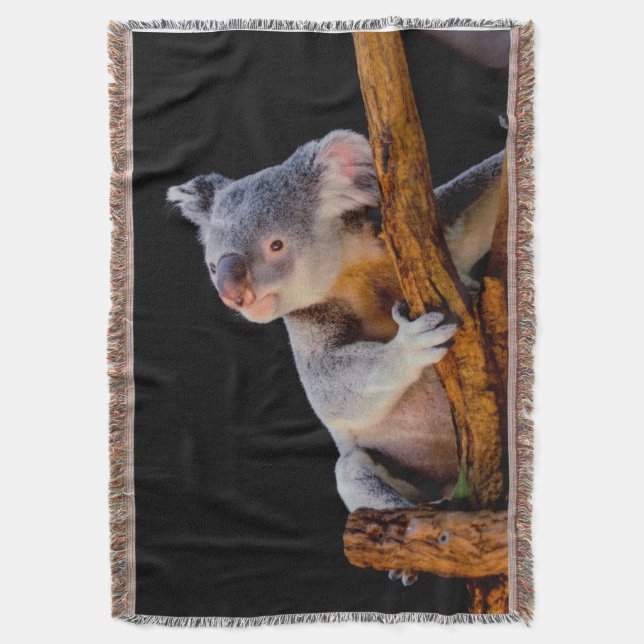 Couverture Koala Cute en gris arbre (devant Vertical)