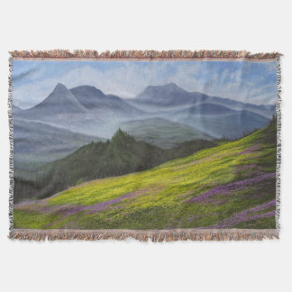 Couverture "La Paix Dans La Vallée"