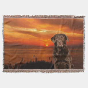Couverture Labrador Retriever Chien Sunset Thaillot Blanche