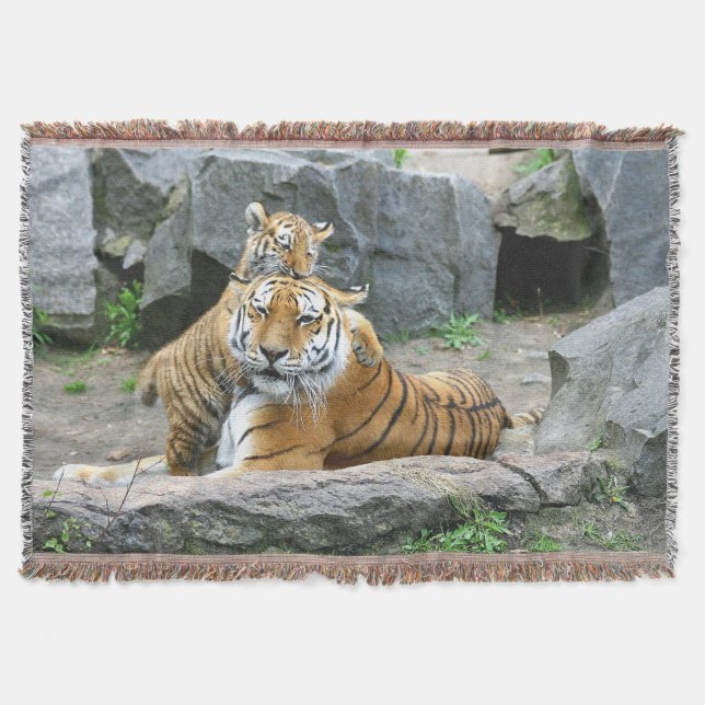 Couverture L'Amour Du Tigre Et Du Cube (Devant)
