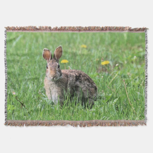 Couverture Lapin (Devant)
