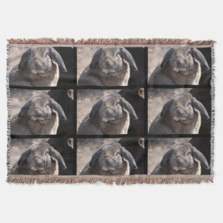Couverture Lapin à oreilles de Lop