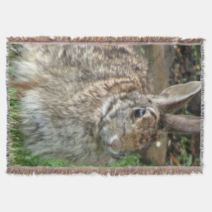 Couverture Lapin doux sauvage