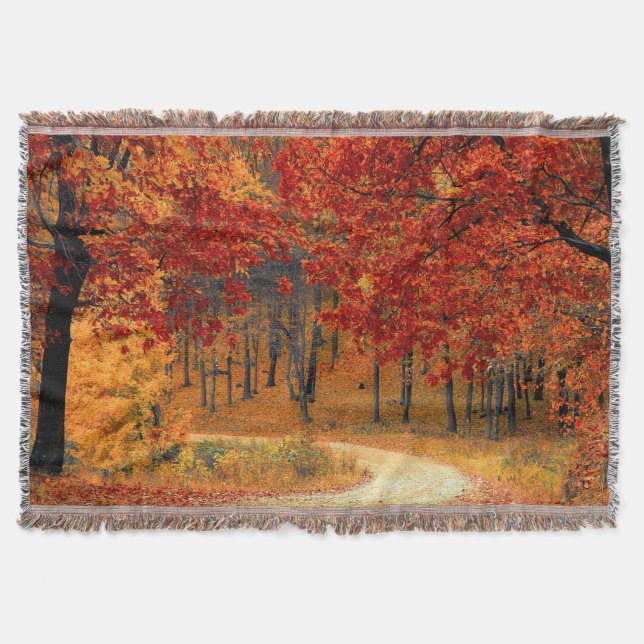 Couverture l'automne dans la forêt (Devant)