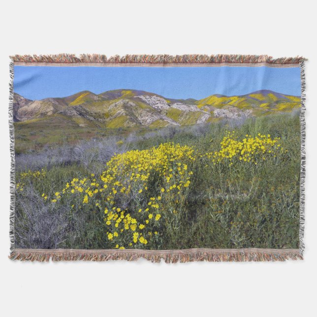 Couverture Le monument national de Carrizo Plain (Devant)