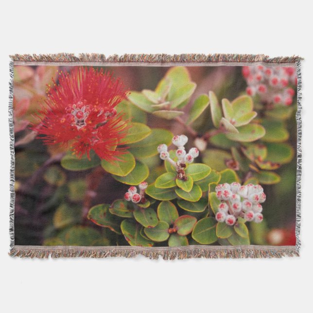 Couverture Lehua Fleurit Dans Les Volcans D'Hawaii (Devant)