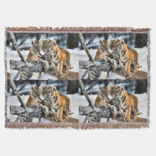 Couverture Les Cubes De Tigre En Jeu Amateurs De Faune