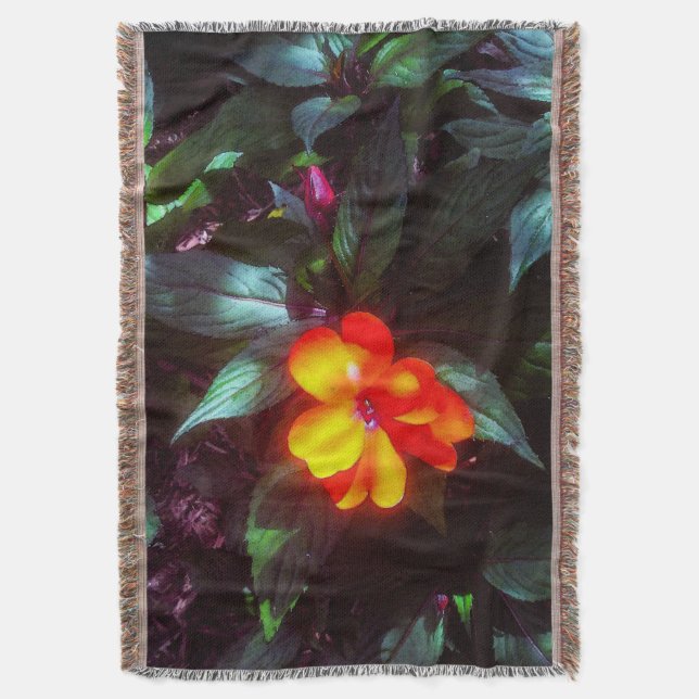 Couverture Les fleurs jaillissent sous le soleil (devant Vertical)