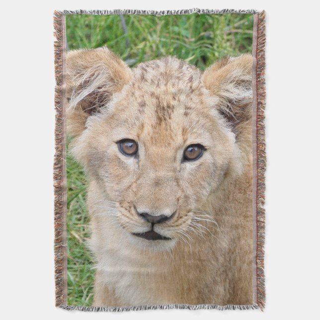 Couverture Lion (devant Vertical)