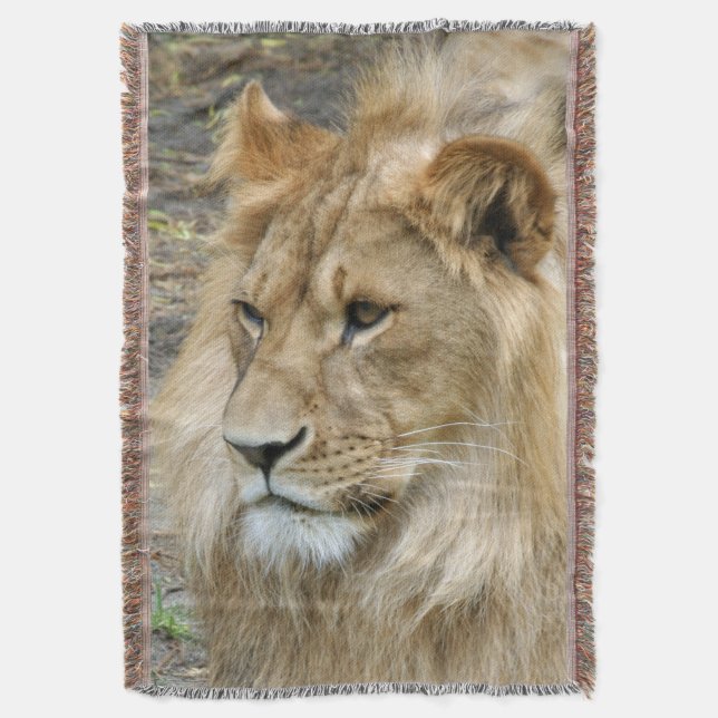 Couverture Lion 011 (devant Vertical)