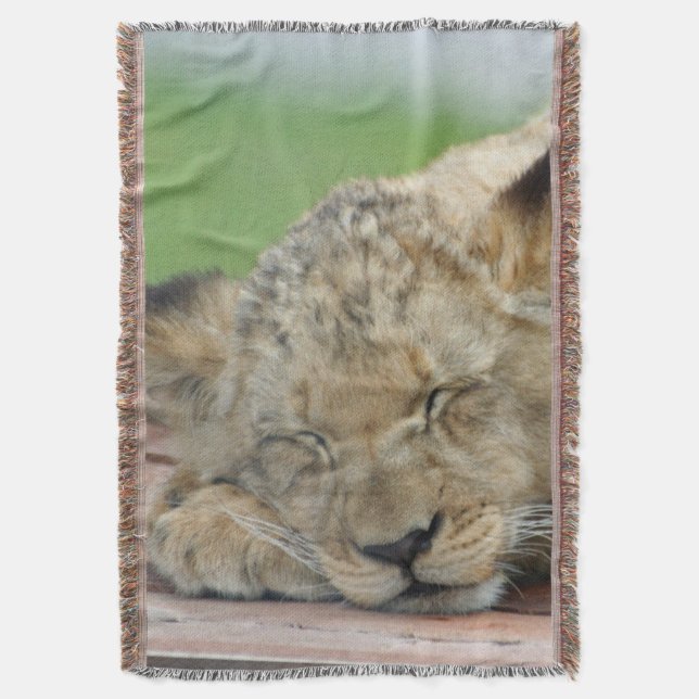 Couverture Lion 014 (devant Vertical)