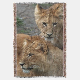 Couverture Lion 033
