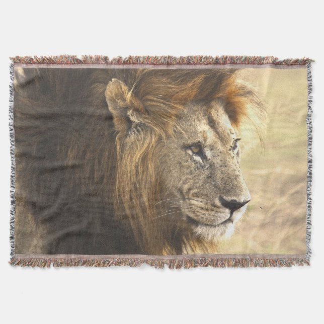 Couverture Lion puissant (Devant)