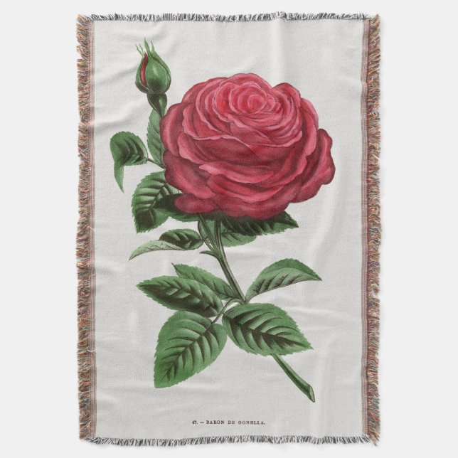 Couverture Lithographie de rose antique, François-Frédéric Gr (devant Vertical)