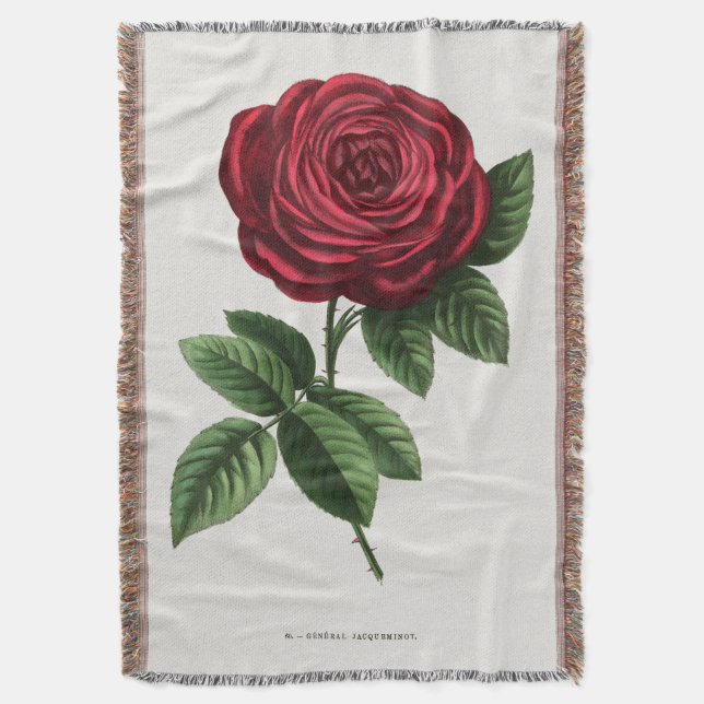 Couverture Lithographie de rose antique, François-Frédéric Gr (devant Vertical)