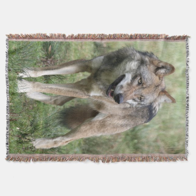 Couverture Loup 19 (Devant)