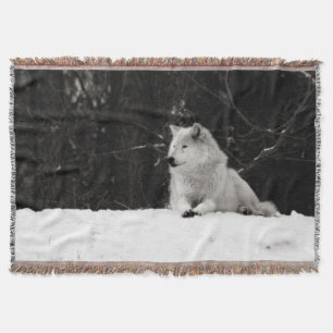 Couverture Loup de Neige