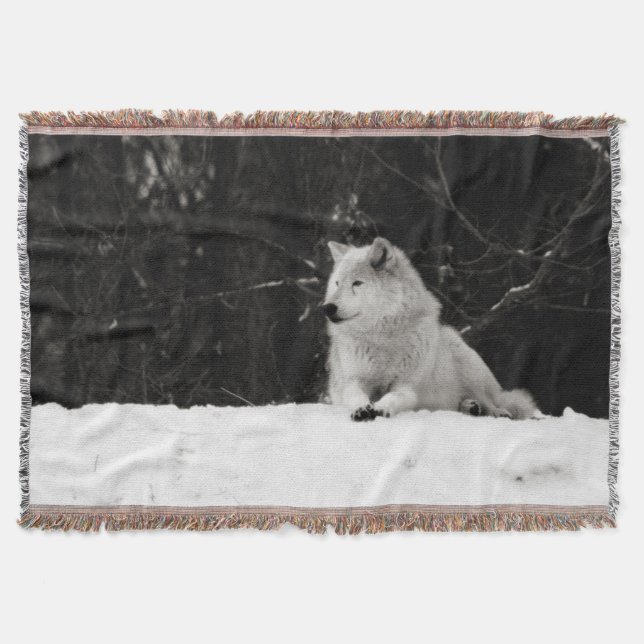 Couverture Loup de Neige (Devant)